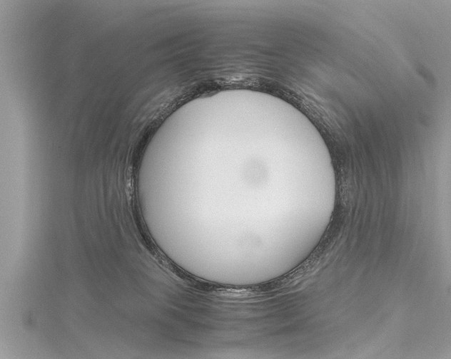 X0000116120085200911230939