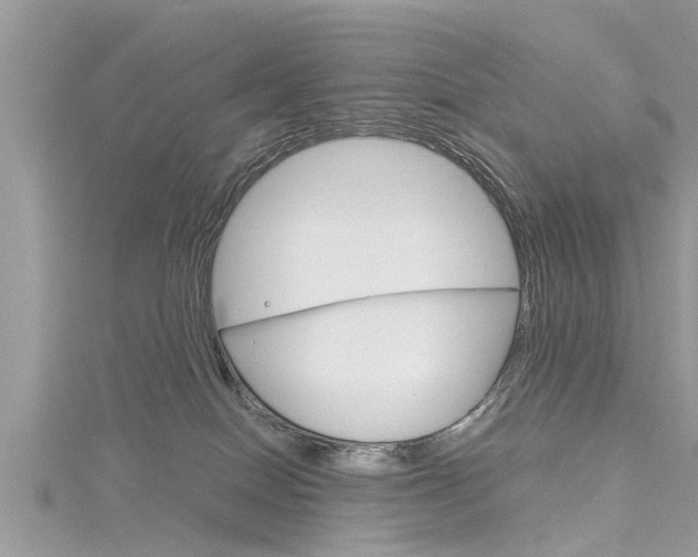 X0000116120086200911230939