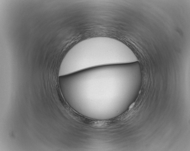 X0000116120088200911230940