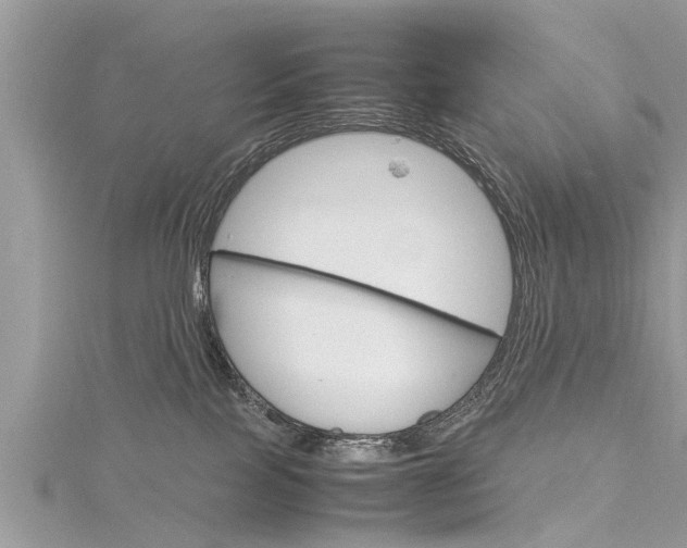 X0000116120089200911230940