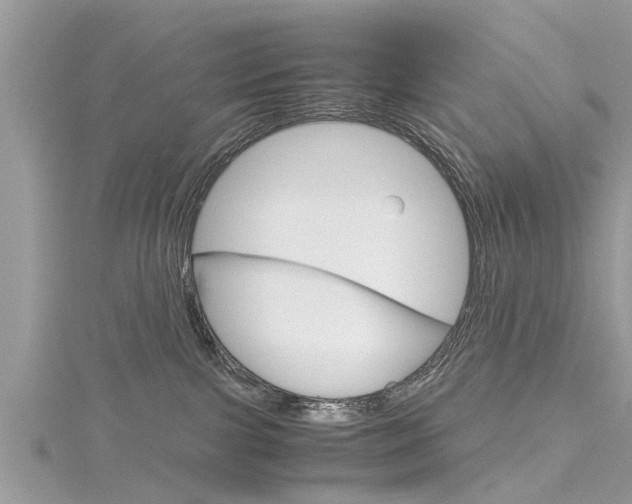 X0000116120091200911230940