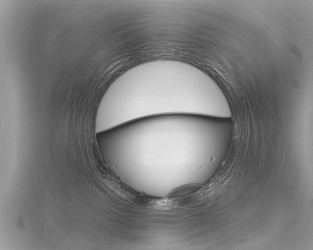 X0000116120092200911230940