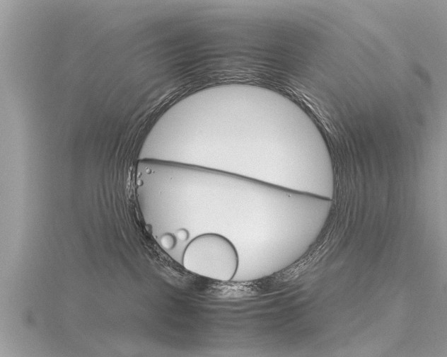 X0000116120093200911230940