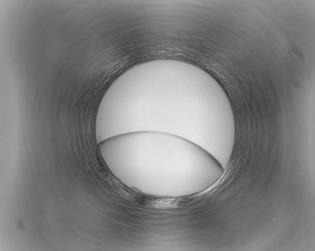 X0000116120094200911230940