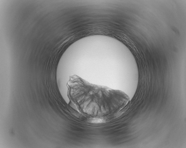 X0000116120095200911230940