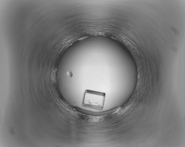 X0000116120096200911230940