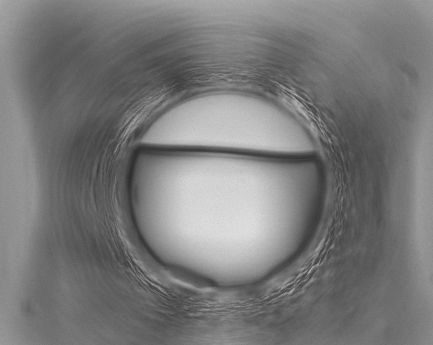 X0000116120097200911230939