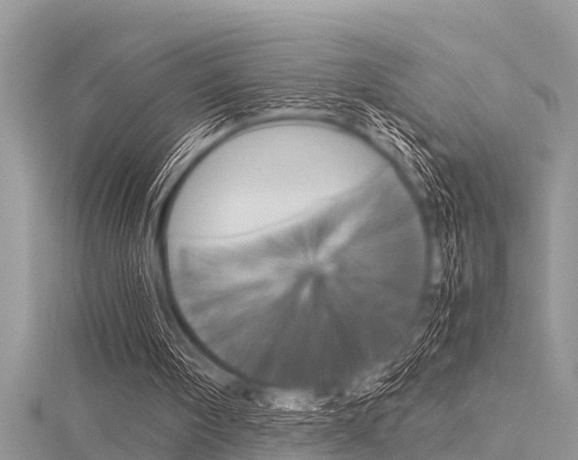 X0000116120098200911230939