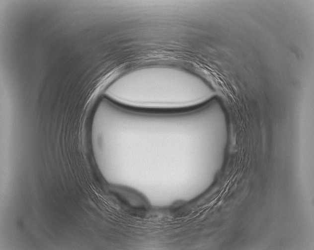 X0000116120099200911230939