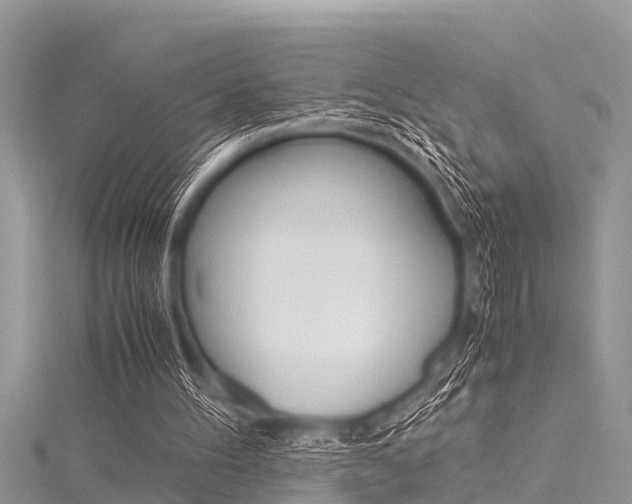 X0000116120100200911230939