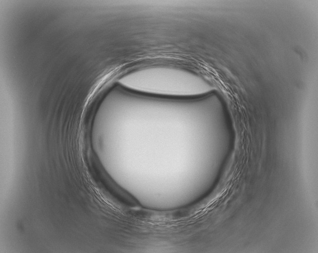 X0000116120101200911230939