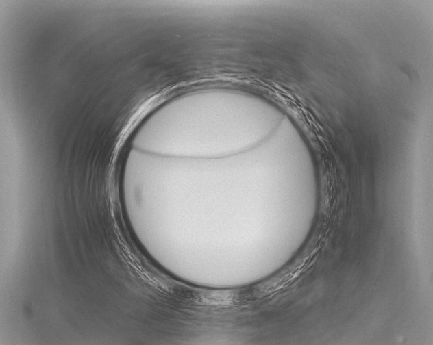 X0000116120102200911230939