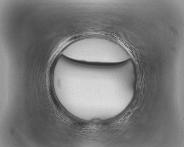 X0000116120103200911230939