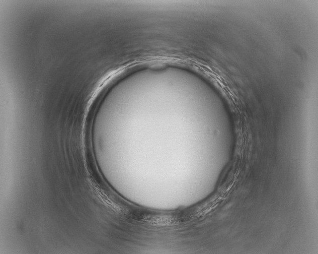 X0000116120104200911230939