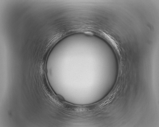 X0000116120105200911230939