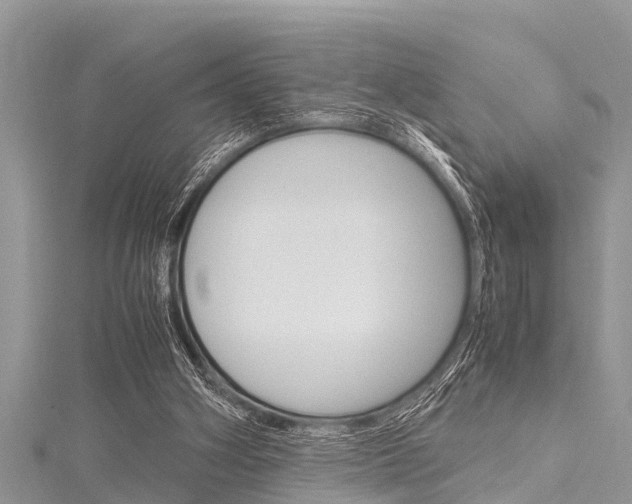 X0000116120106200911230939