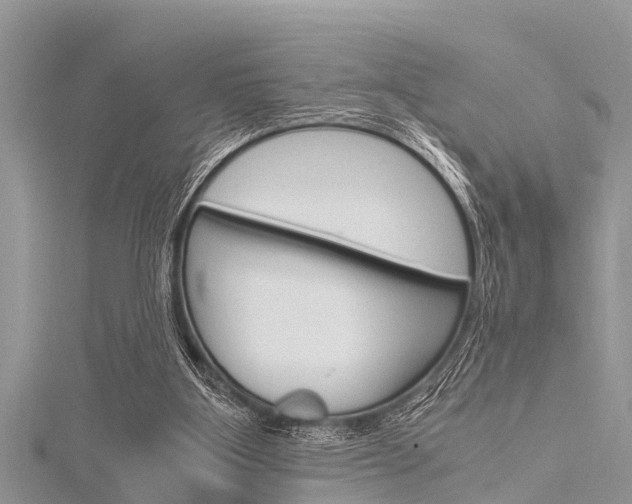 X0000116120107200911230939