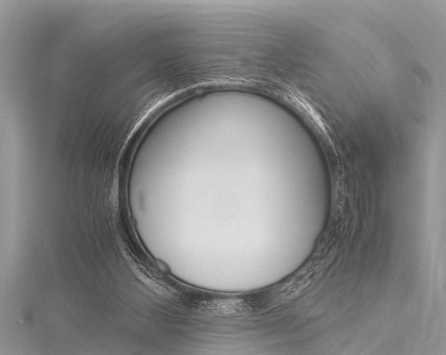 X0000116120108200911230939