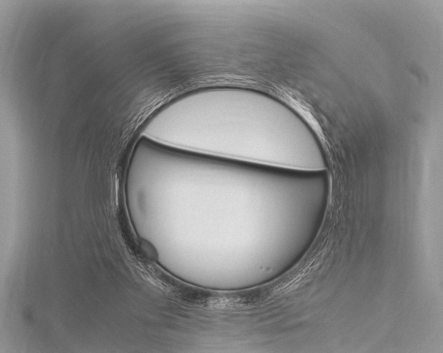 X0000116120109200911230939