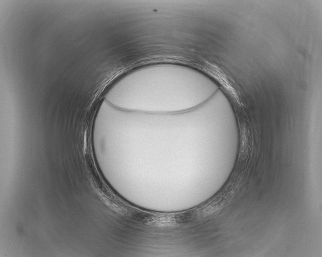 X0000116120110200911230939