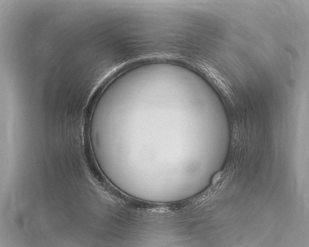 X0000116120112200911230939