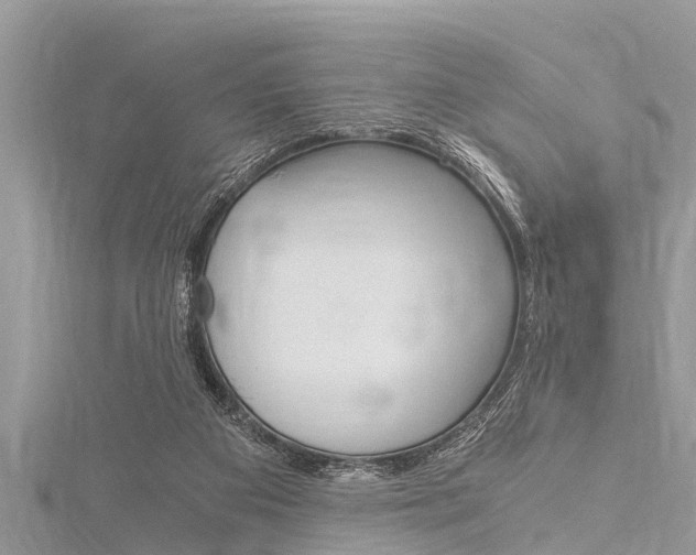 X0000116120113200911230939