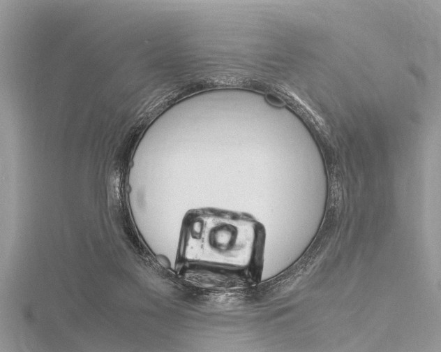 X0000116120117200911230939