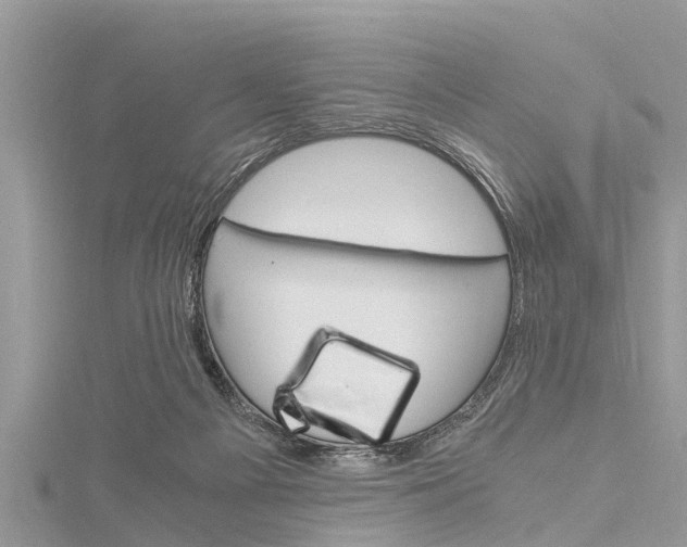 X0000116120121200911230939