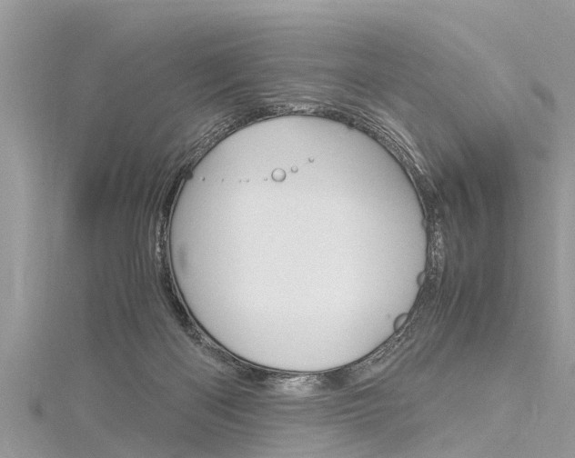 X0000116120122200911230939