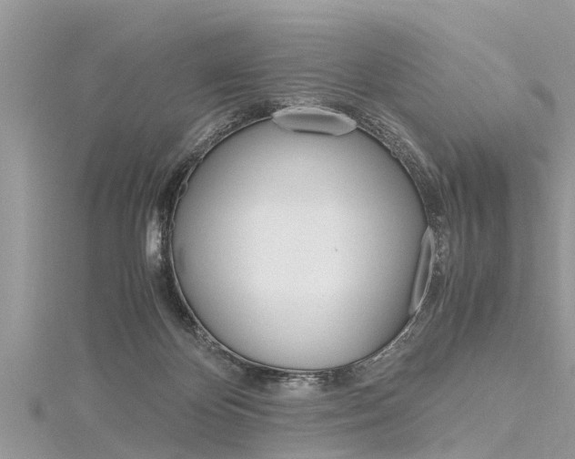 X0000116120124200911230939