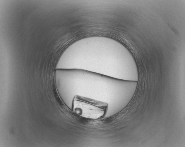 X0000116120125200911230939