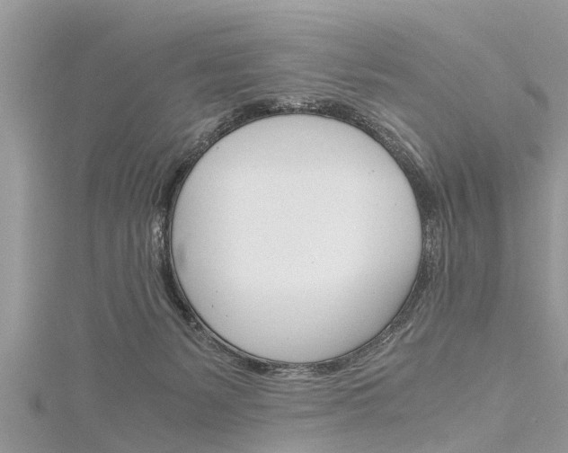 X0000116120127200911230939