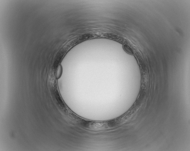 X0000116120129200911230939