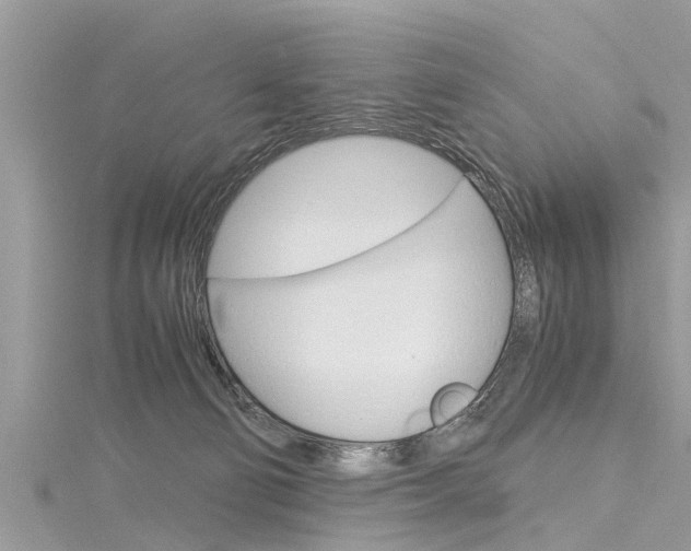 X0000116120130200911230939