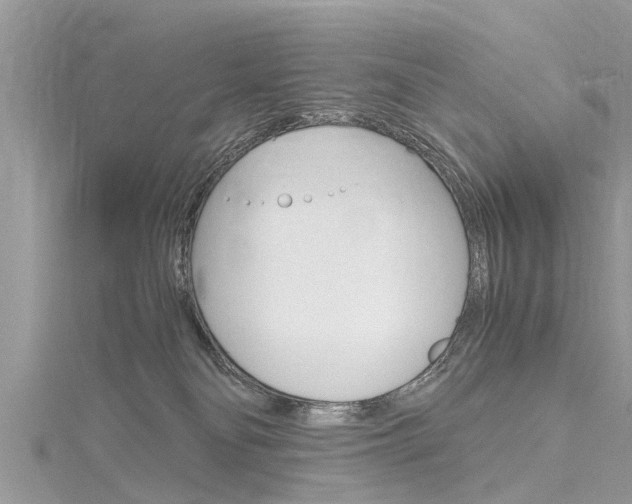 X0000116120134200911230939