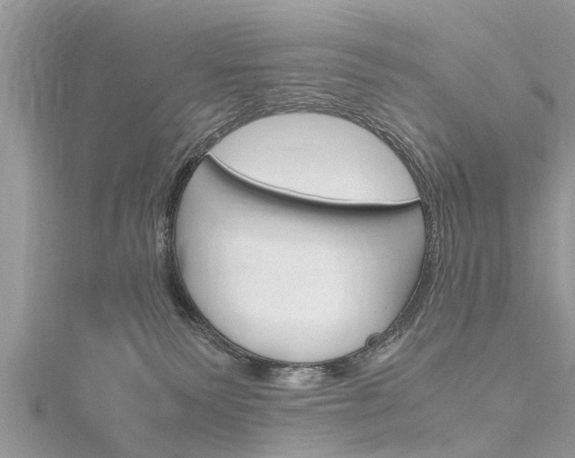 X0000116120135200911230939