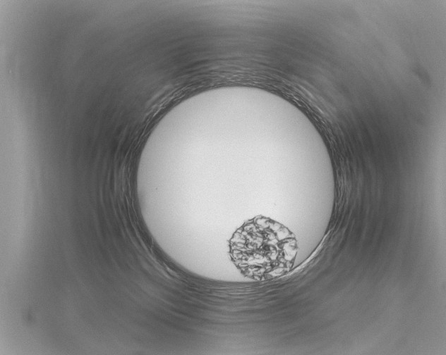 X0000116120136200911230938