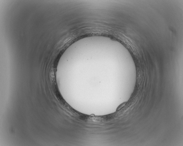 X0000116120137200911230938