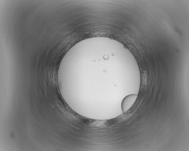 X0000116120138200911230938