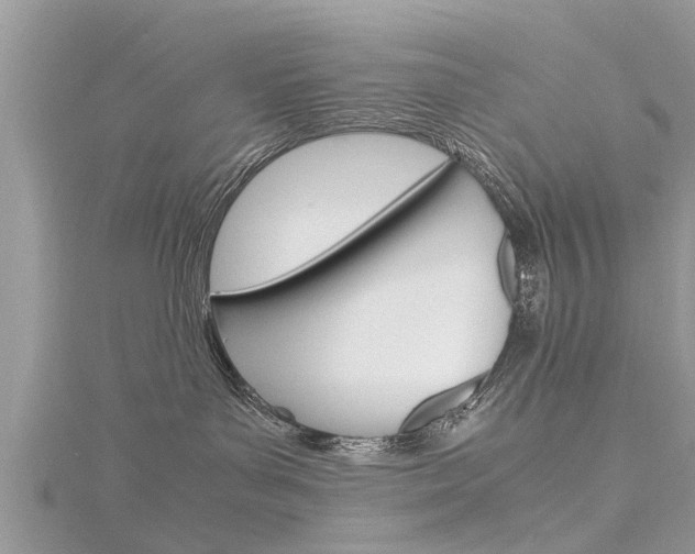 X0000116120143200911230938