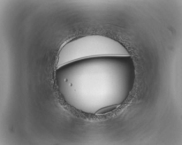 X0000116120144200911230938