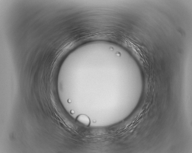 X0000116120145200911230938