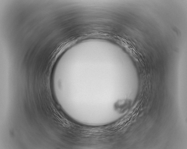 X0000116120146200911230938