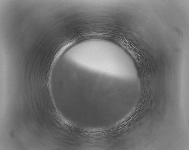 X0000116120147200911230938