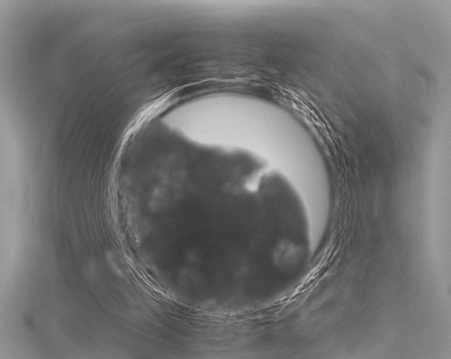 X0000116120149200911230938