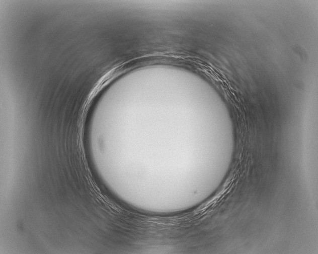 X0000116120150200911230938