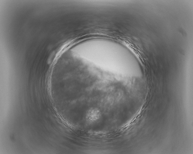 X0000116120151200911230938