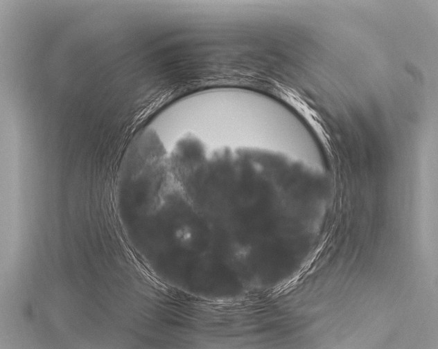 X0000116120153200911230938