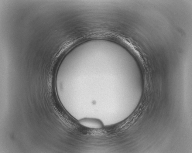 X0000116120154200911230938