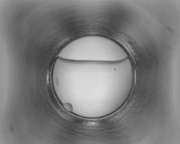 X0000116120157200911230938